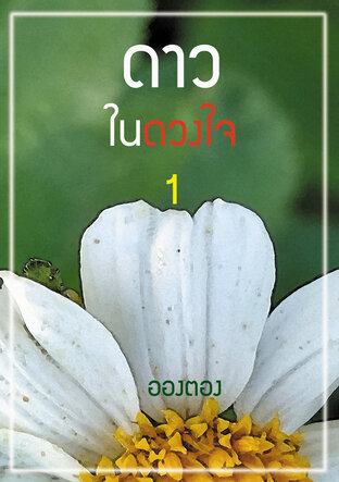 ดาวในดวงใจ เล่ม 1