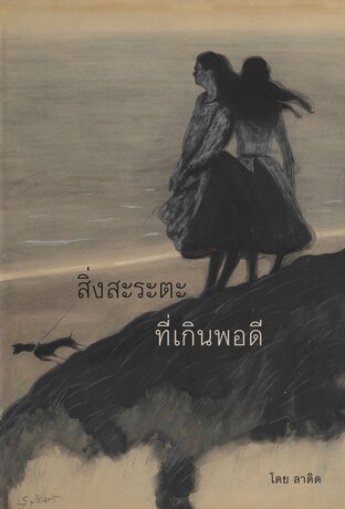 สิ่งสะระตะที่เกินพอดี