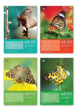 SET ผีเสื้อ 101 (Butterfly 101)