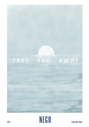 TAKE YOU AWAY