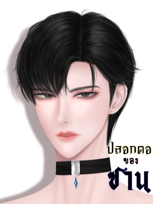 ปลอกคอของซาน