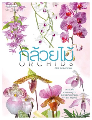 กล้วยไม้ Orchids