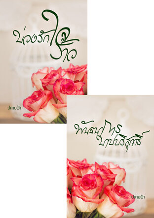 SET พันธนาการบาปบริสุทธิ์