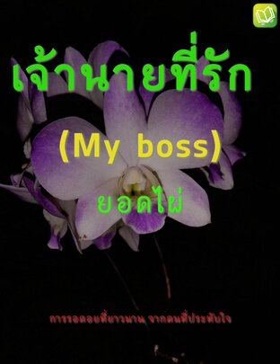 เจ้านายที่รัก (my boss)