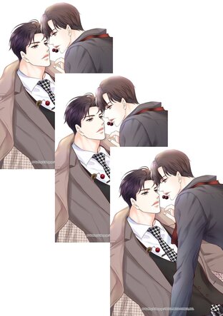 SET รักสามเส้าเราสามคน (Bluffing) เล่ม 1-13 (จบ)