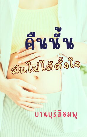 คืนนั้นฉันไม่ได้ตั้งใจ