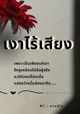 เงาไร้เสียง