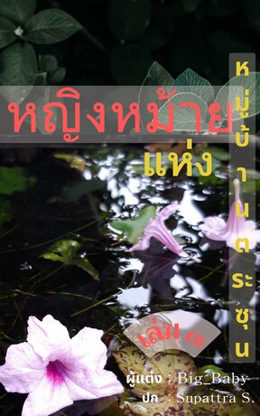 หญิงหม้ายแห่งหมู่บ้านตระกูลซุน เล่ม ๓  ( จบ )