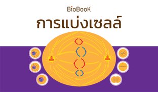 Biobook การแบ่งเซลล์