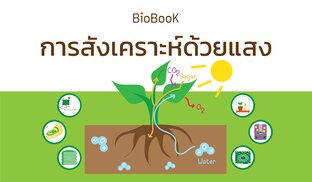 Biobook การสังเคราะห์ด้วยแสง