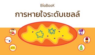 Biobook การหายใจระดับเซลล์