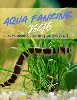 Aqua Fanzine Vol.16 : Kuhli Loach ปลารูปทรงงู แต่ดูๆแล้วน่ารัก