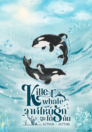 Killer whale วาฬไหนจะได้รักกัน