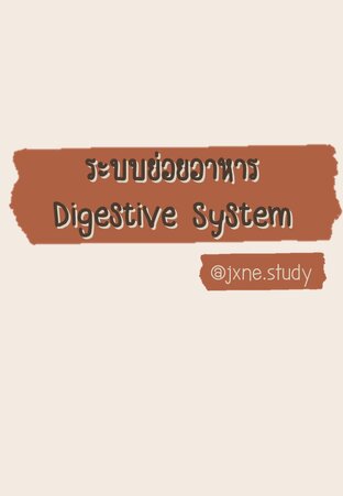 ระบบย่อยอาหาร Digestive system