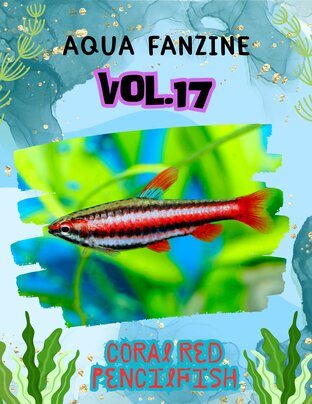 Aqua Fanzine Vol.17 : Coral Red Pencilfish ปลาดินสอแดง แสนน่ารัก และสวยงาม