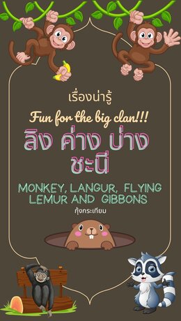 เรื่องน่ารู้ ลิงค่างบ่างชะนี Fun of big clan!!! Monkey, langurs, flying lemurs and gibbons