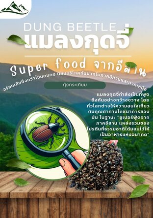 แมลงกุดจี่ super food จากอีสาน