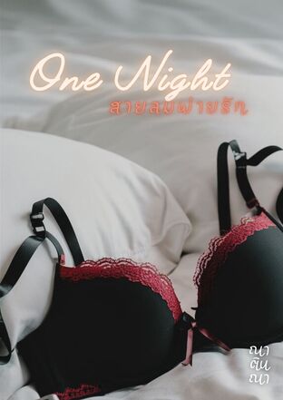 One night สายลมพ่ายรัก