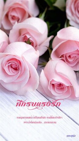 ศึกรบแรงรัก