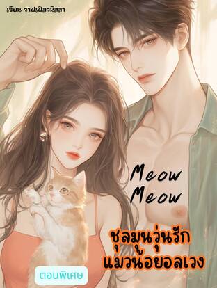 Meow Meow ชุลมุนวุ่นรักแมวน้อยอลเวง (ตอนพิเศษ)