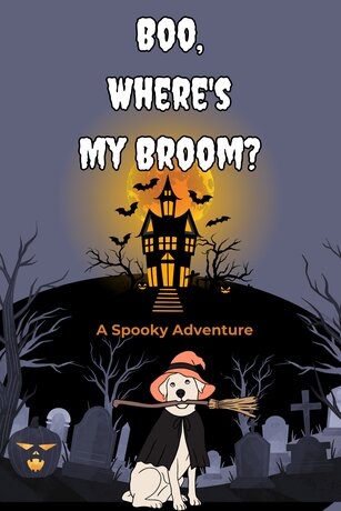 Boo, Where's My Broom? A Spooky Adventure