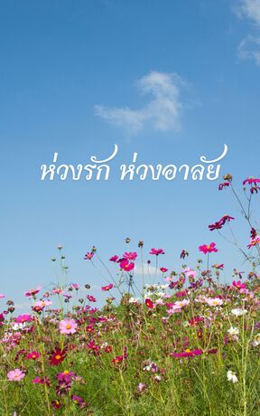 ห่วงรัก ห่วงอาลัย