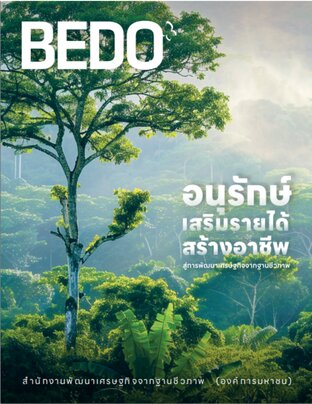 BEDO PROJECT PRESS