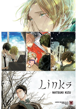 LINKS (เล่มเดียวจบ)