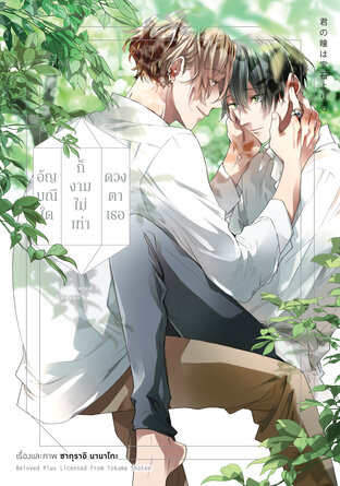 อัญมณีใดก็งามไม่เท่าดวงตาเธอ (จบในเล่ม)