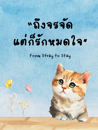 ถึงจรจัดแต่ก็รักหมดใจ From Stray to Stay