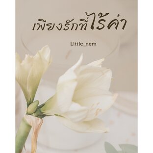 เพียงรักที่ไร้ค่า