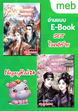 SET ไขคดีร้าย