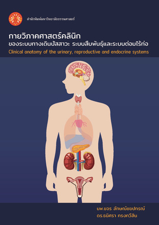 กายวิภาคศาสตร์คลินิกของระบบทางเดินปัสสาวะระบบสืบพันธุ์ และระบบต่อมไร้ท่อ