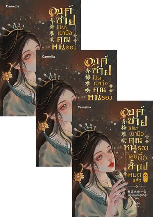 SET องค์ชายโปรดเบามือ คุณหนูรองแสนดื้อช้ำไปหมดแล้ว เล่ม 1-4 (จบ)