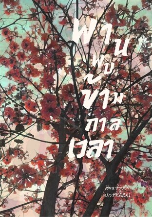 พานพบข้ามกาลเวลา