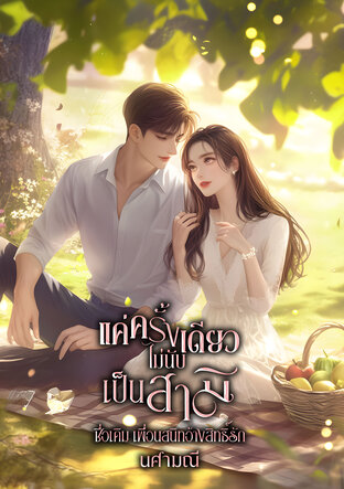 แค่ครั้งเดียวไม่นับเป็นสามี