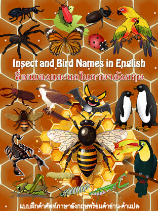 ชื่อแมลงและนก Insect and Bird names in English