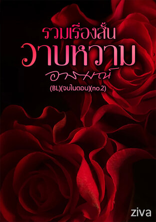 รวมเรื่องสั้นวาบหวามอารมณ์ (BL/จบในตอน)(no.2)