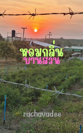 หอมกลิ่นบ้านสวน