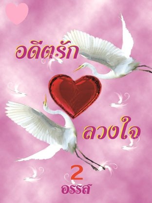 อดีตรักลวงใจ 2 (จบ)