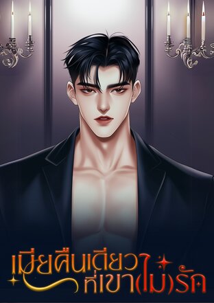 เมียคืนเดียวที่เขา(ไม่)รัก