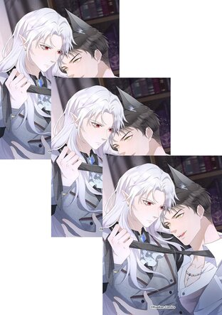 SET งับผมทีคุณหมาป่า เล่ม 1-16 (จบ)