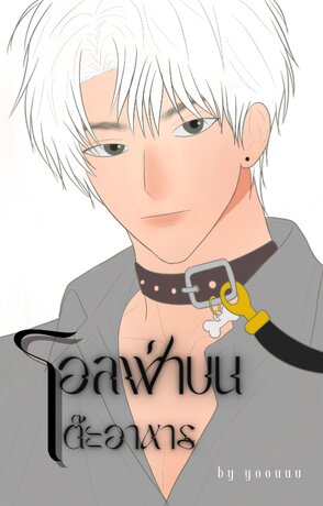 อัลฟ่าบนโต๊ะอาหาร