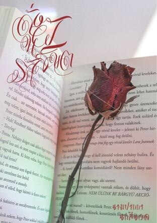 ดั่งฝันลิขิตรัก