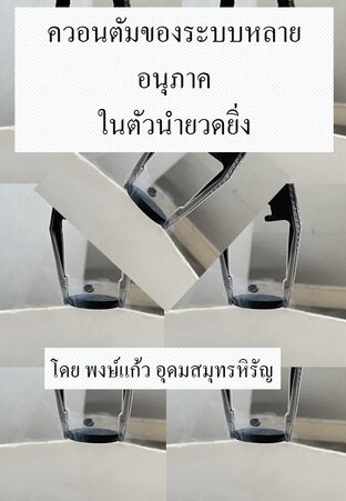 ควอนตัมของระบบหลายอนุภาคในตัวนำยวดยิ่ง