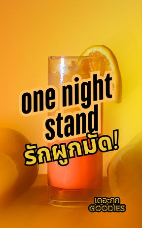 one night stand รักผูกมัด