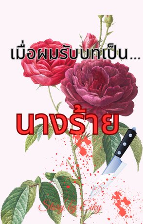 เมื่อผมรับบทเป็น....นางร้าย