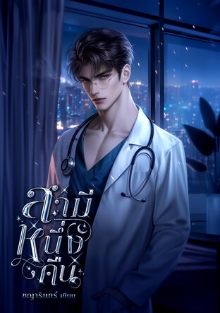 สามีหนึ่งคืน