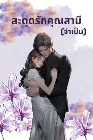 สะดุดรักคุณสามี(จำเป็น)