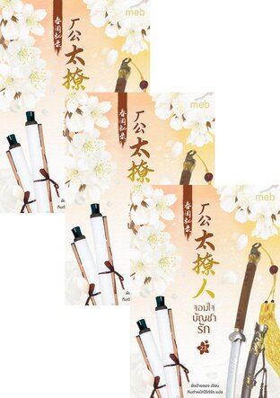 SET จอมใจบัญชารัก เล่ม 21-25